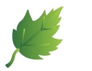 Leaf Gutter Solution green leaf logo